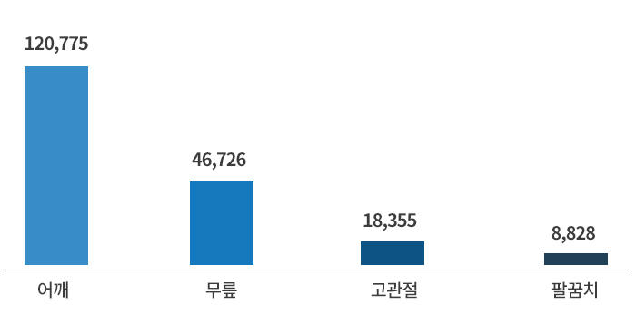 연령별 점유율