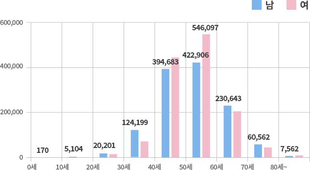 2019 성별/연령대별 환자 비율