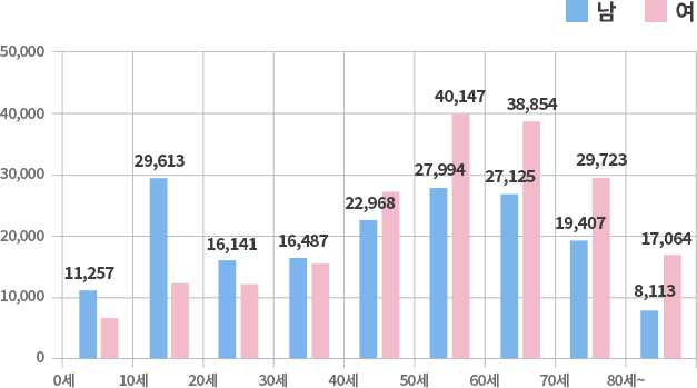 2019 성별/연령대별 환자 비율